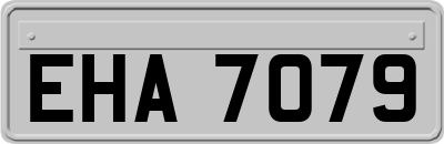 EHA7079