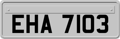 EHA7103