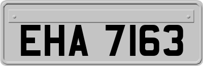 EHA7163