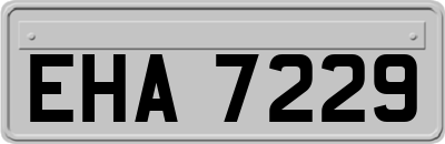 EHA7229