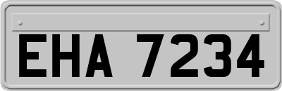 EHA7234