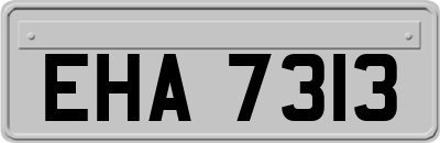 EHA7313
