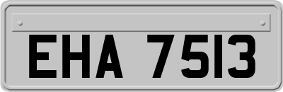 EHA7513