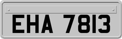 EHA7813
