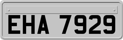 EHA7929