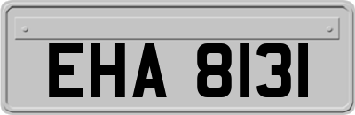 EHA8131