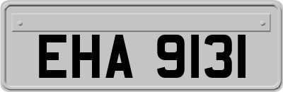 EHA9131