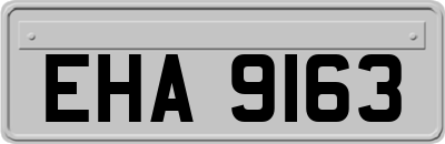 EHA9163