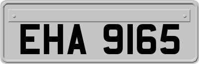 EHA9165