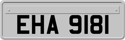 EHA9181
