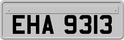 EHA9313