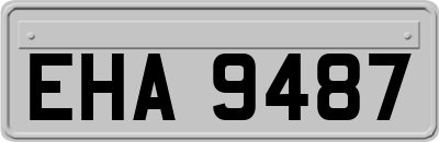 EHA9487