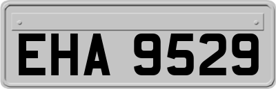 EHA9529