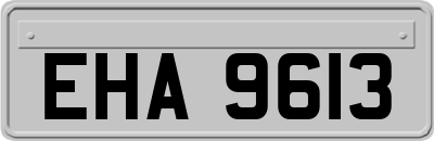 EHA9613