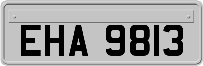 EHA9813