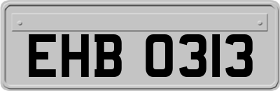 EHB0313