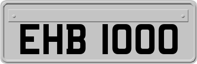 EHB1000