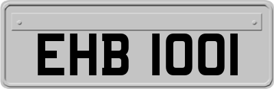 EHB1001