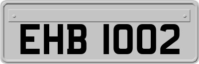 EHB1002