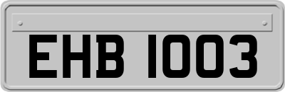 EHB1003