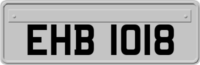 EHB1018