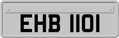 EHB1101