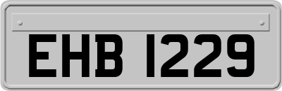 EHB1229