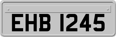 EHB1245