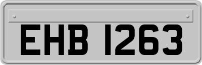 EHB1263