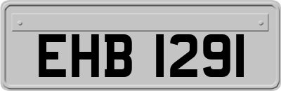 EHB1291