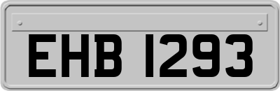 EHB1293
