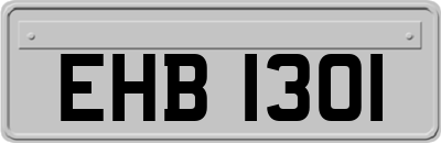 EHB1301