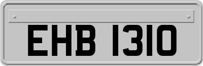 EHB1310