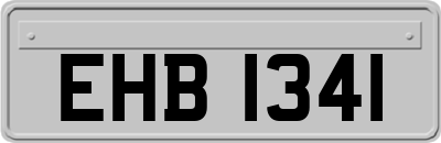 EHB1341