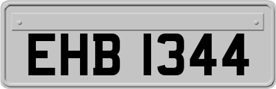 EHB1344