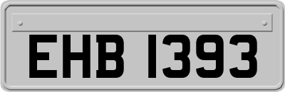 EHB1393