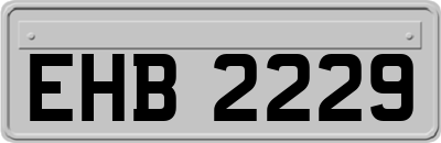 EHB2229