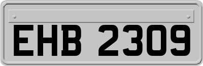 EHB2309