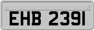EHB2391