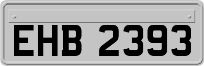 EHB2393