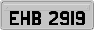 EHB2919