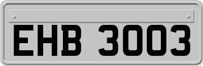 EHB3003