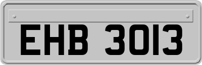 EHB3013