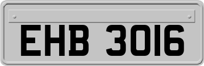 EHB3016