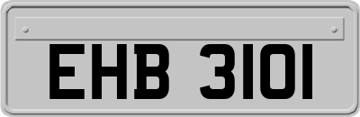 EHB3101