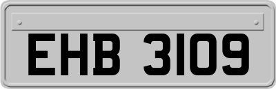 EHB3109