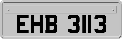 EHB3113