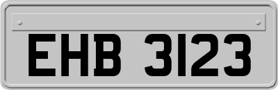 EHB3123
