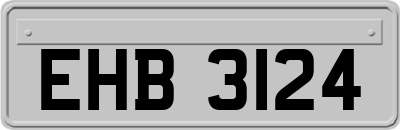 EHB3124