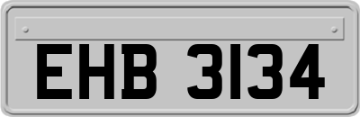 EHB3134